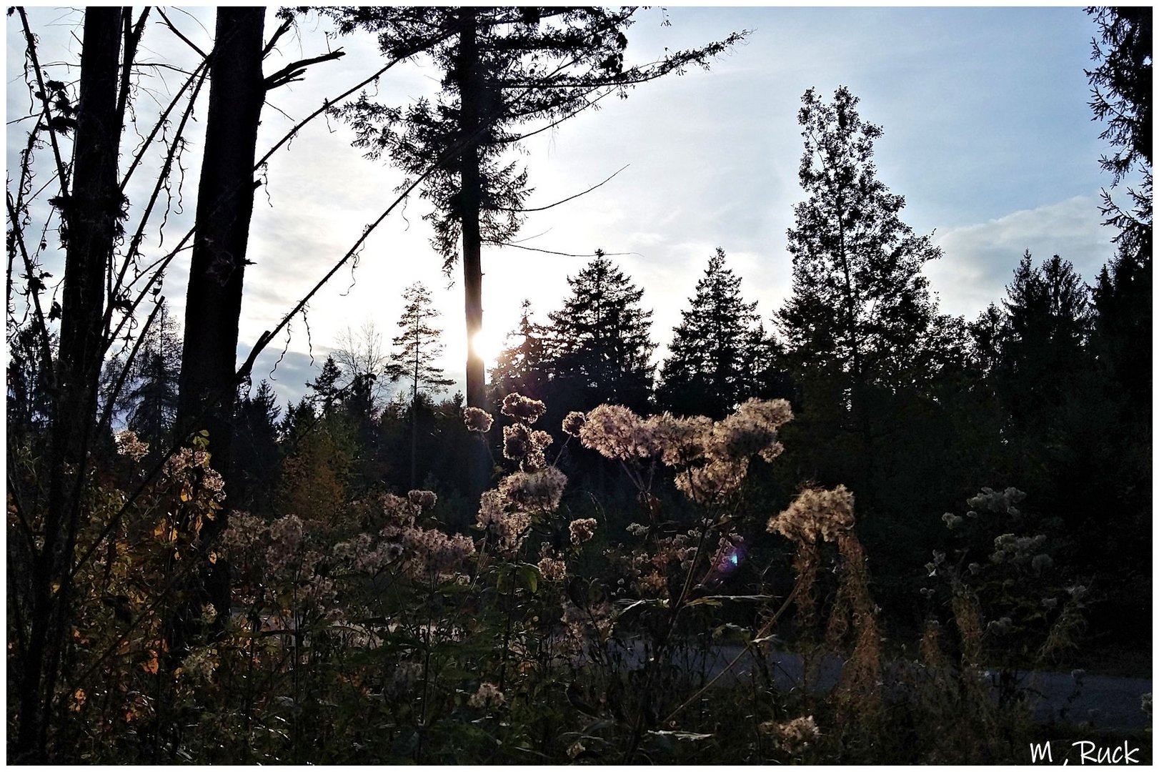 Herbstliche Landschaft mi der wiederkehrenden Sonne 