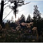 Herbstliche Landschaft mi der wiederkehrenden Sonne 