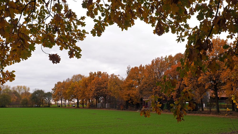 Herbstliche Landschaft mit Eichenrahmen