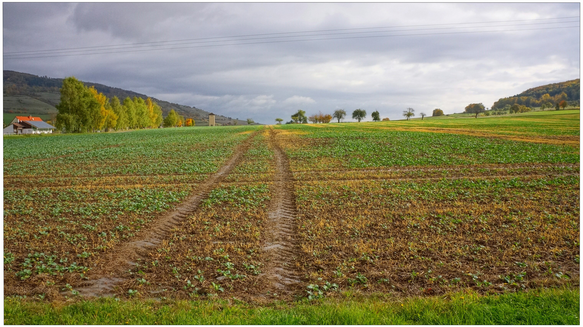 Herbstliche Landschaft (paisaje otoñal)