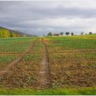 Herbstliche Landschaft (paisaje otoñal)