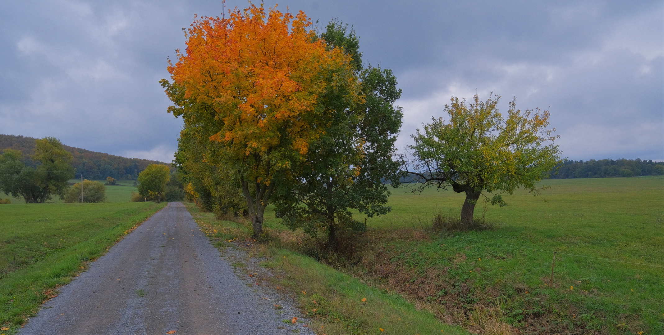 herbstliche Landschaft (paisaje otoñal)