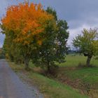 herbstliche Landschaft (paisaje otoñal)