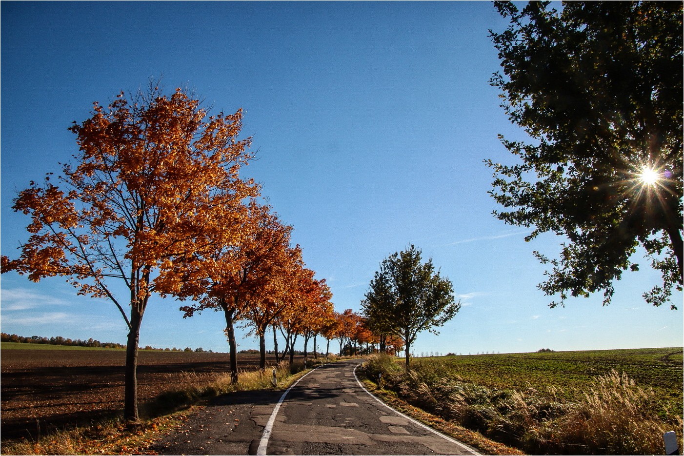 Herbstliche Landstraße