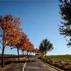 Herbstliche Landstraße