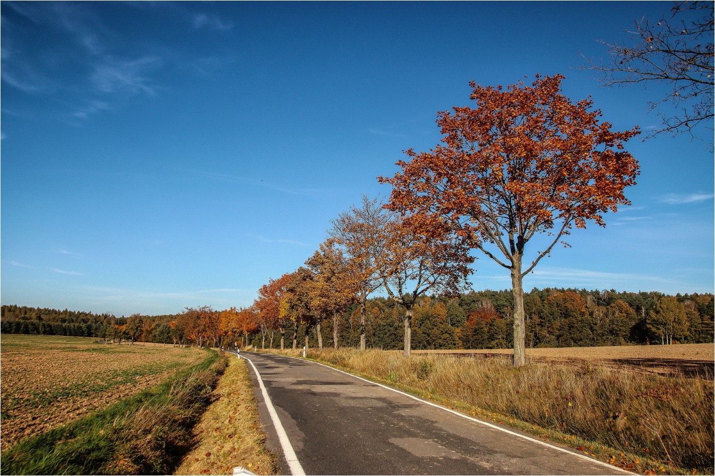 Herbstliche Landstraße (1)