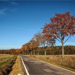 Herbstliche Landstraße (1)