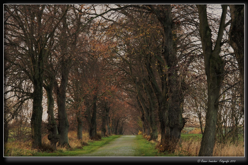 Herbstliche Landstraße..