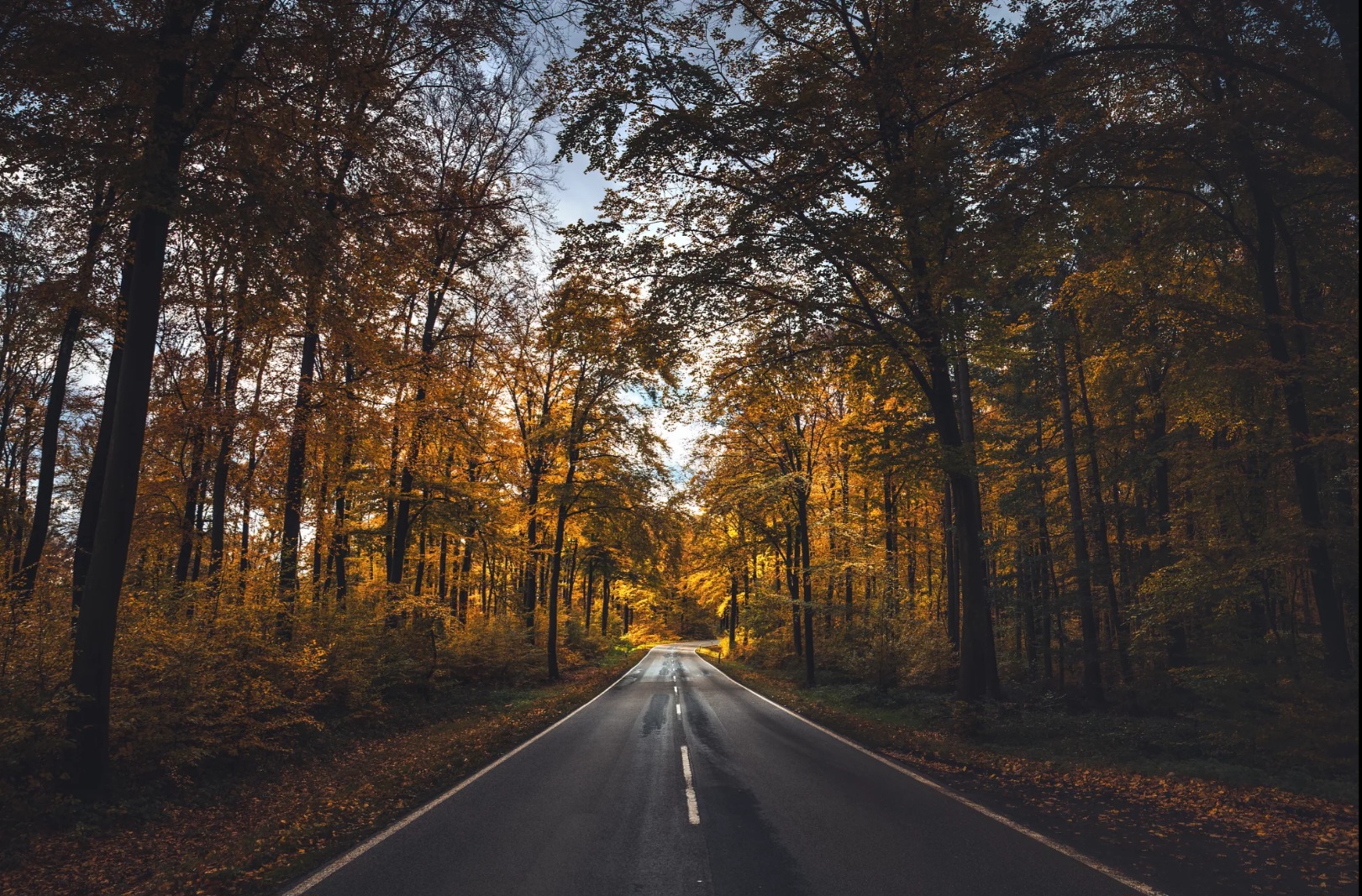 Herbstliche Landstraße 