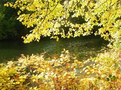 herbstliche Leine bei Hannover