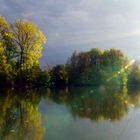 herbstliche Lichtreflexion