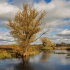 Herbstliche Lippe