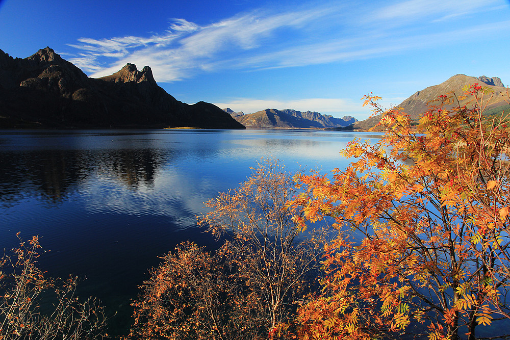 Herbstliche Lofoten