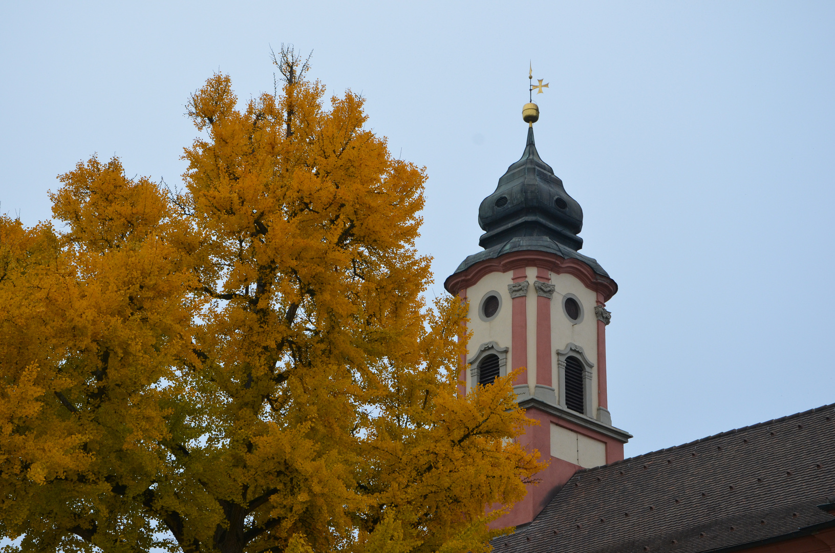 Herbstliche Mainau, Mainau im November