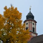 Herbstliche Mainau, Mainau im November