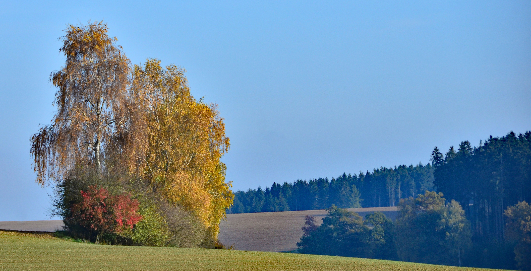 Herbstliche Mischung der Farben