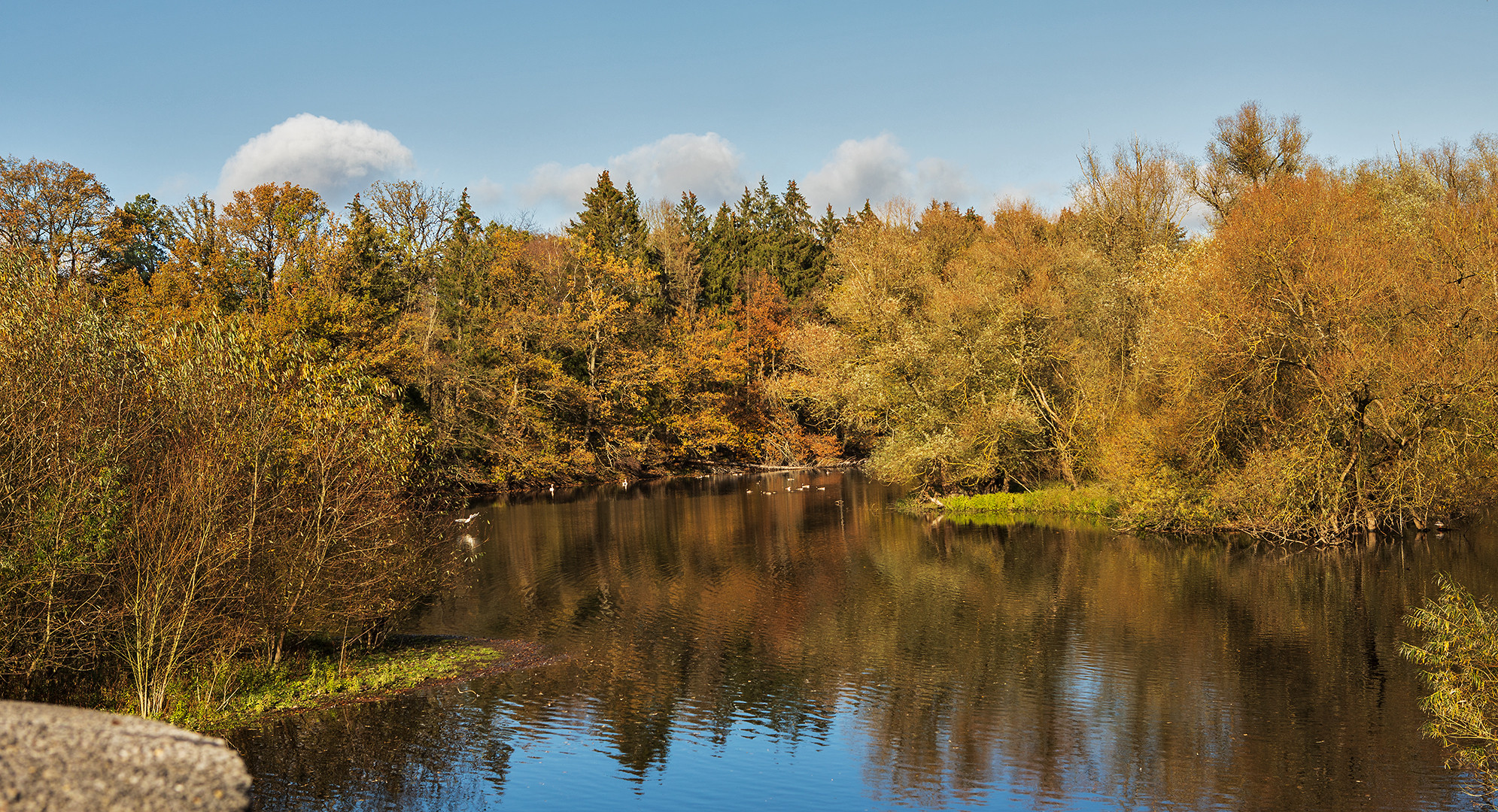 Herbstliche Möhne