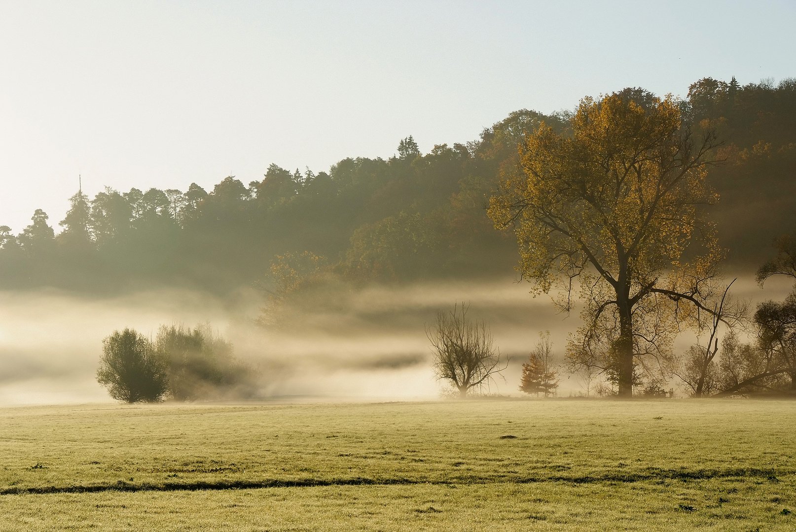 Herbstliche morgendliche Stimmung