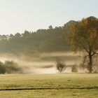 Herbstliche morgendliche Stimmung