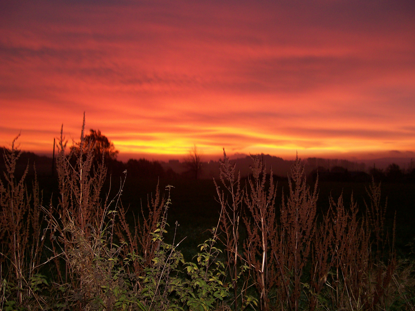 Herbstliche Morgenröte