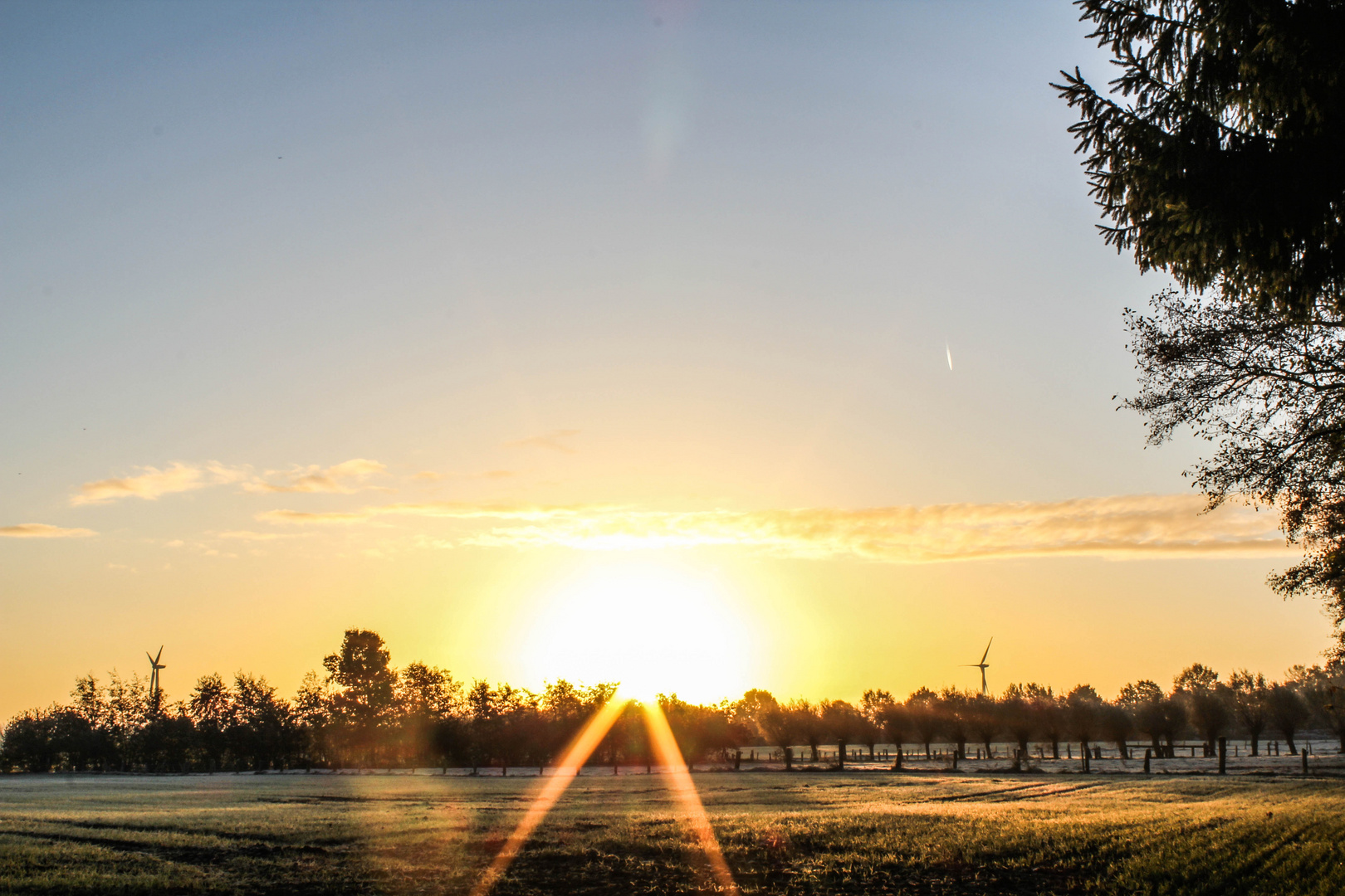 Herbstliche Morgensonne