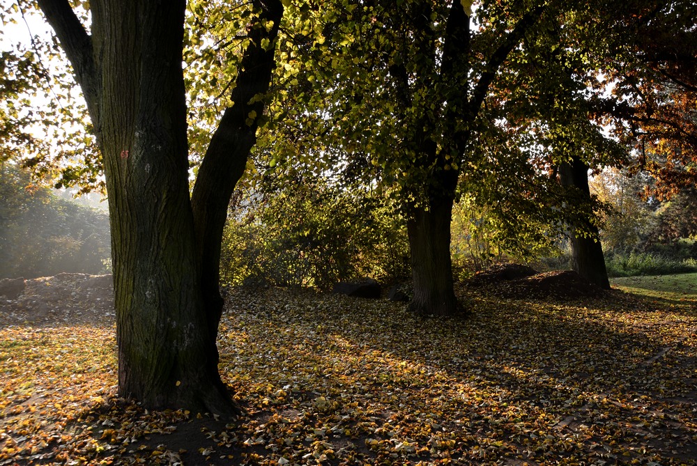 Herbstliche Morgenstimmung