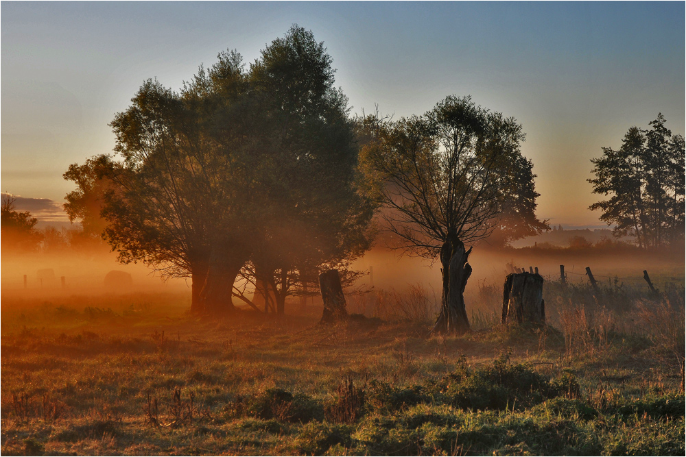 Herbstliche Morgenstimmung