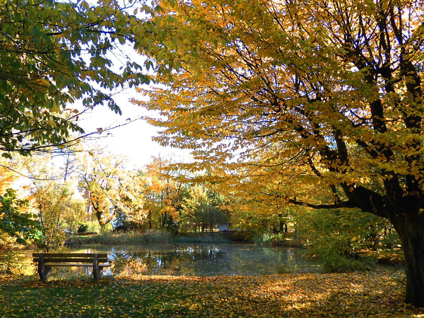 Herbstliche Morgenstimmung