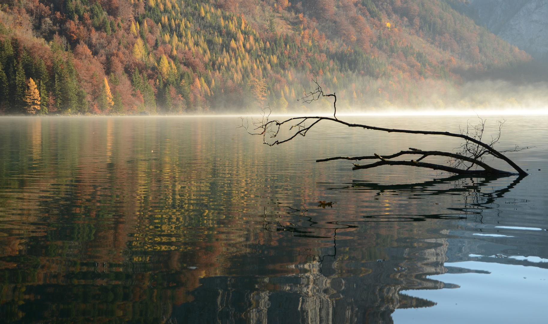 herbstliche Morgenstimmung...