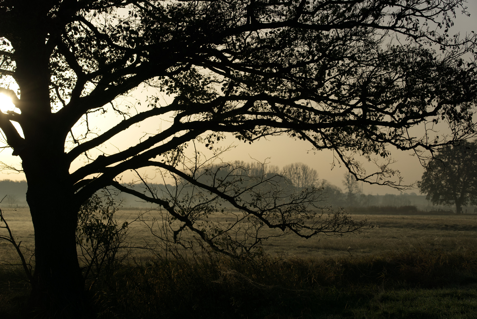 Herbstliche Morgenstimmung