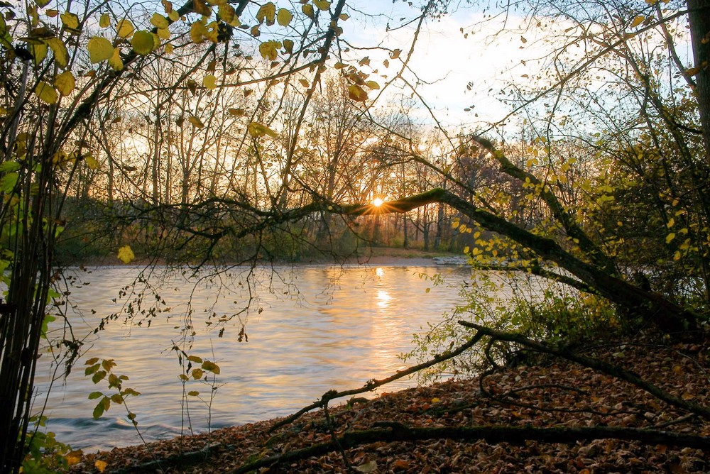 Herbstliche Morgenstimmung an der Aare bei Rubigen