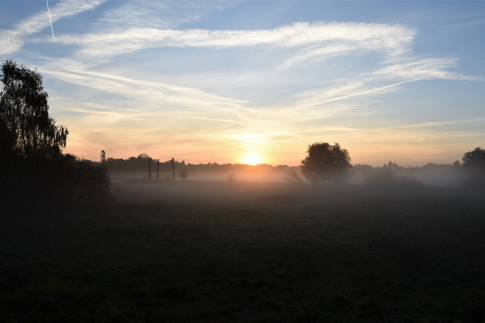 Herbstliche Morgenstimmung auf den Upstallwiesen bei Potsdam