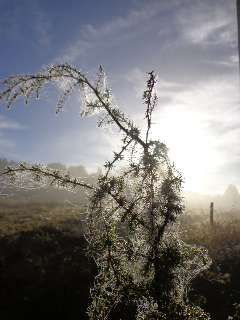 Herbstliche Morgenstimmung