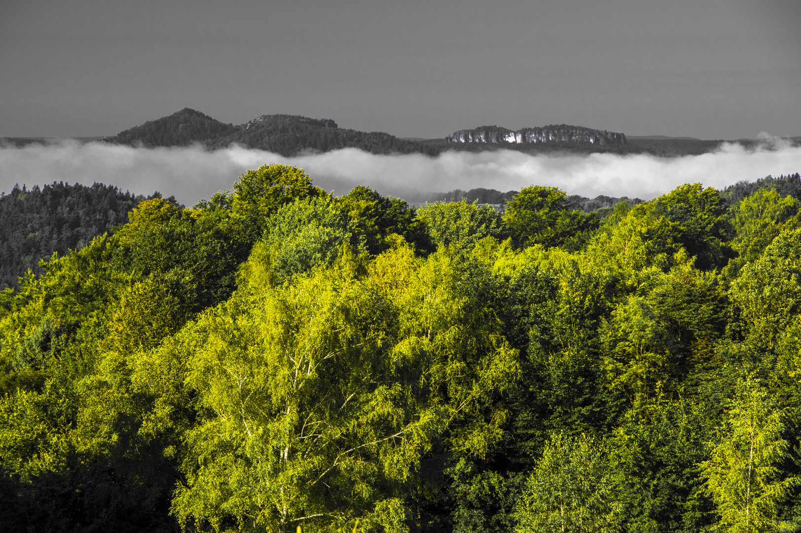 herbstliche Morgenstimmung in wunderbarer Natur