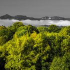 herbstliche Morgenstimmung in wunderbarer Natur