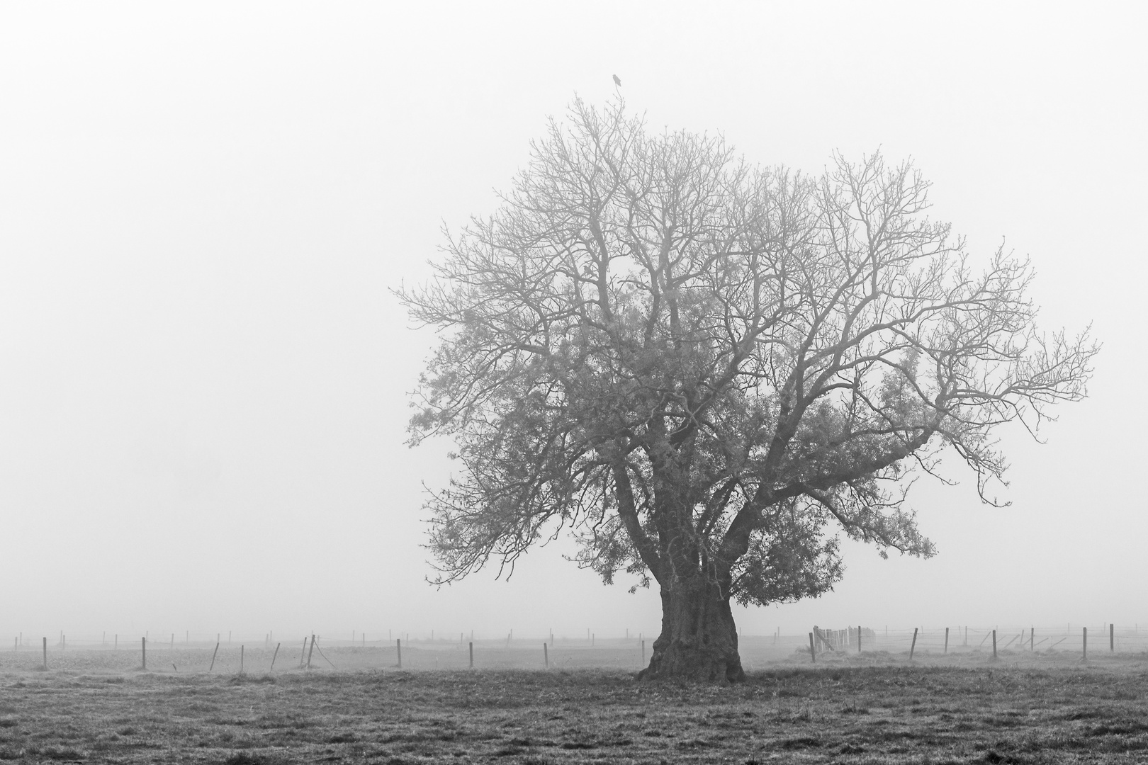 Herbstliche Morgenstunde