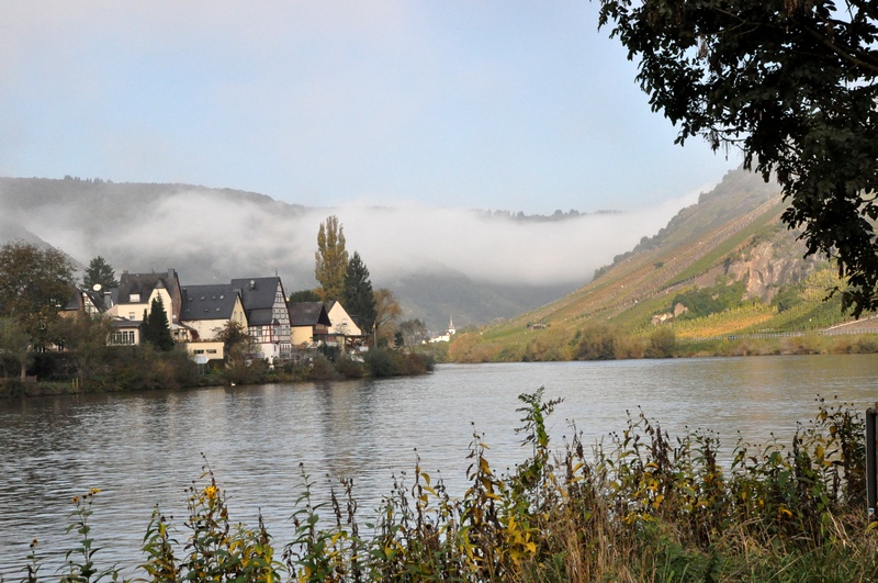 Herbstliche Mosel bei Senheim