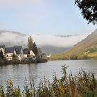 Herbstliche Mosel bei Senheim