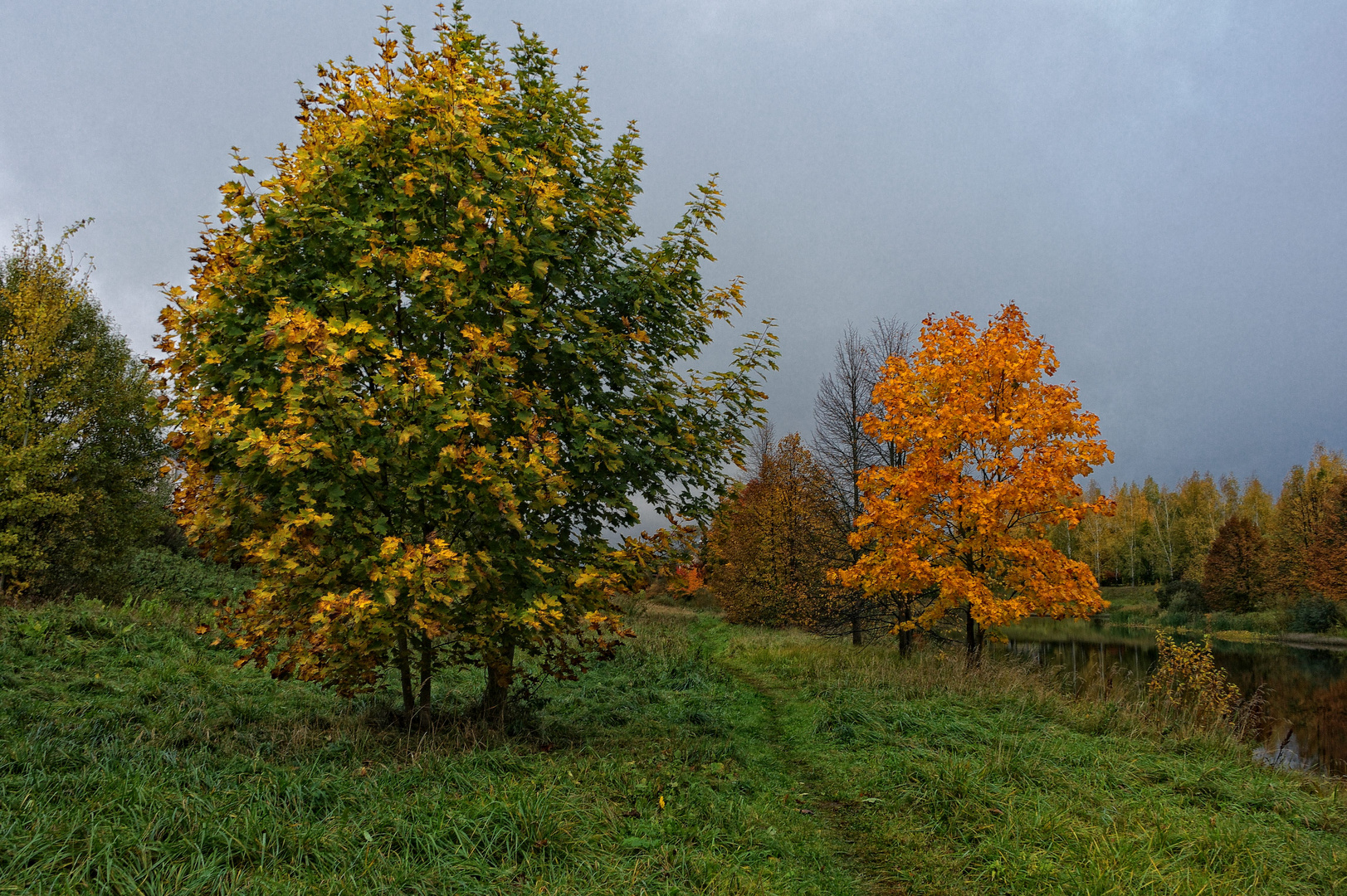 Herbstliche Motiv 2