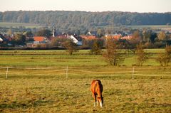 Herbstliche Nachmittagssonne