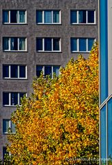 HERBSTLICHE NATUR IN DER KLAMMER RECHTER WINKEL