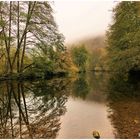 Herbstliche Nebel an der Tauber 