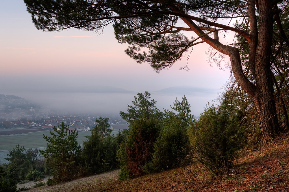 herbstliche Nebellandschaft