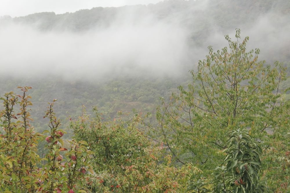 Herbstliche Nebelwand in Cochem