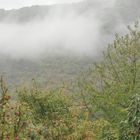 Herbstliche Nebelwand in Cochem