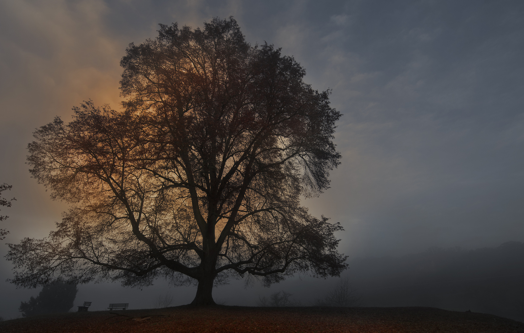 Herbstliche Nostalgie