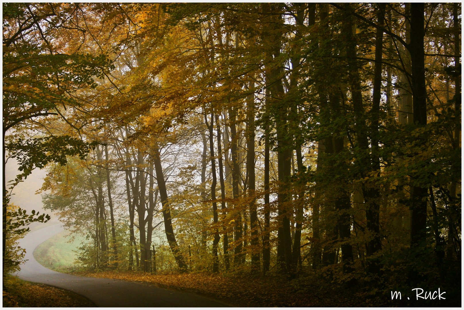 Herbstliche November Impression !