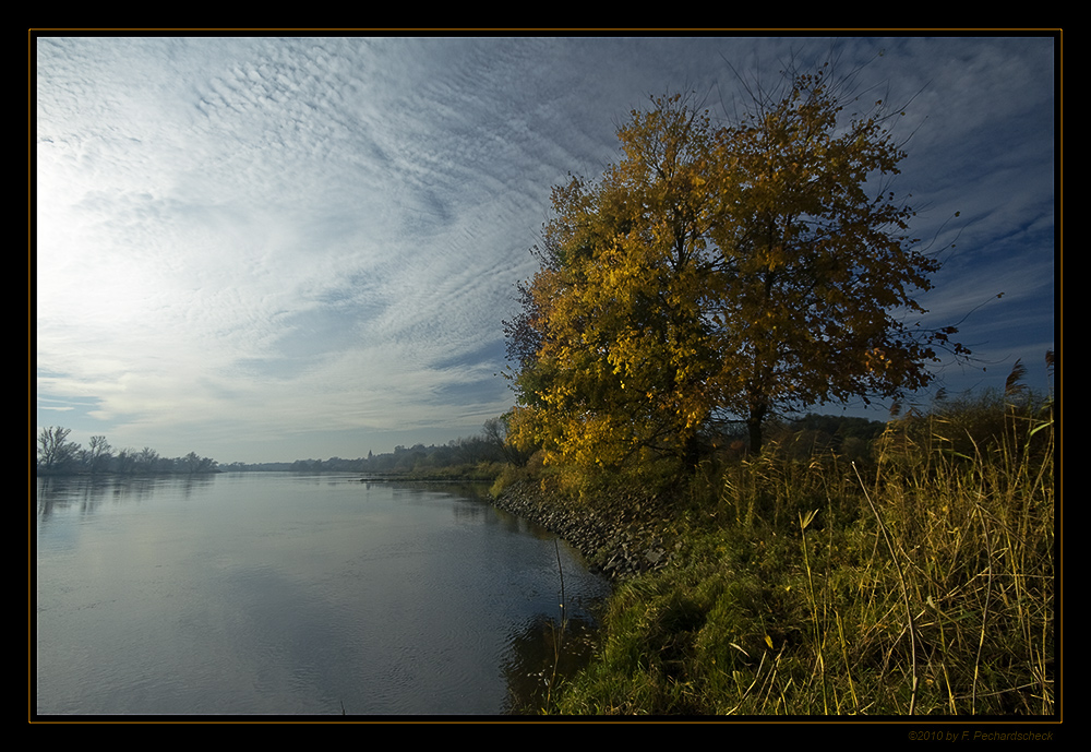 Herbstliche Oder