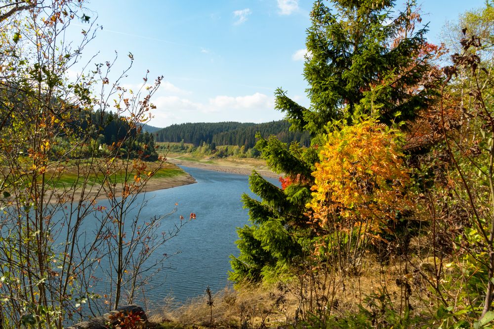 Herbstliche Okertalsperre