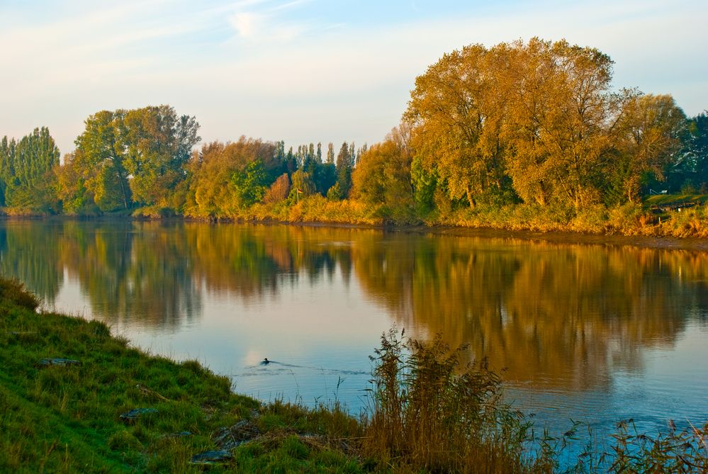 Herbstliche Oste II